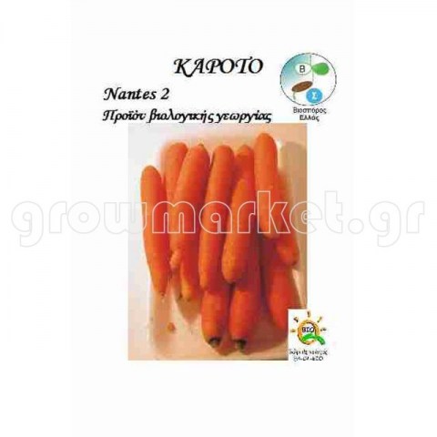 904cf04bd99b7fdec4c9f8755ddb6a17