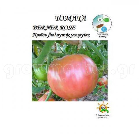 BIO Τομάτα Berner Rose 0,05gr