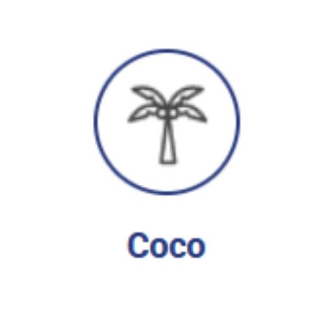 Dual Part Coco Bloom 1lt