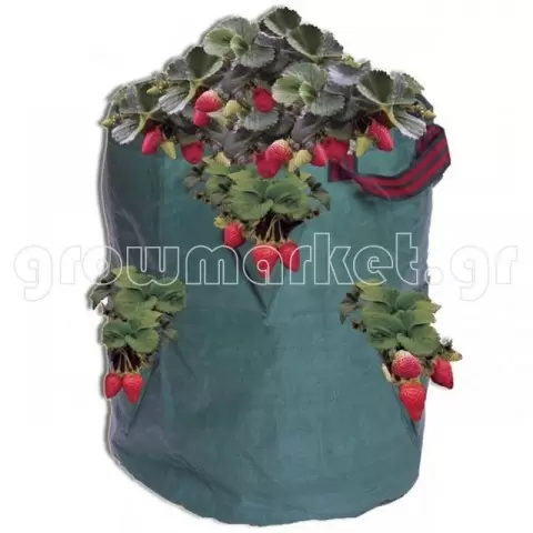 621f0ab29271f3bce1613b7811bb8a03