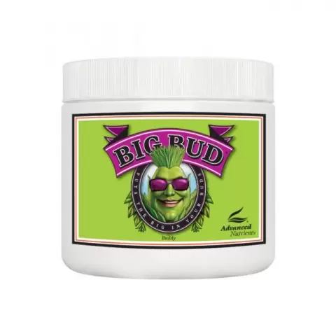 Big Bud Powder 2.5kg