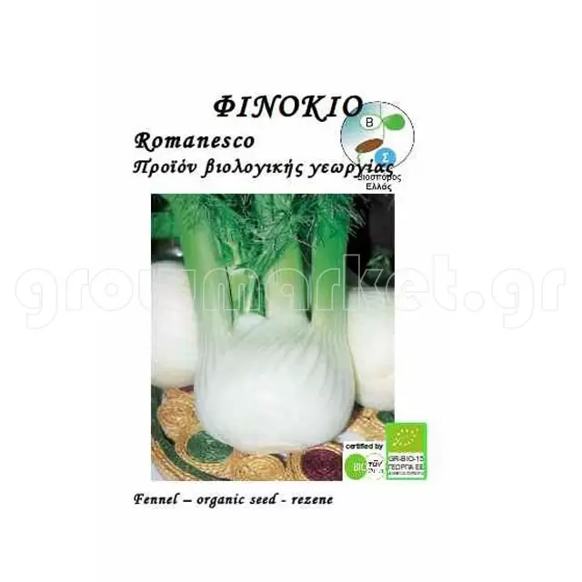 Φινόκιο Αγριο Foeniculum Vulgare 1gr