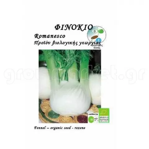 Φινόκιο Αγριο Foeniculum Vulgare 1gr